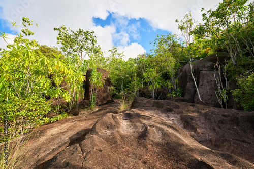 Anse major trail  hiking on nature trail of Mahe  Seychelles