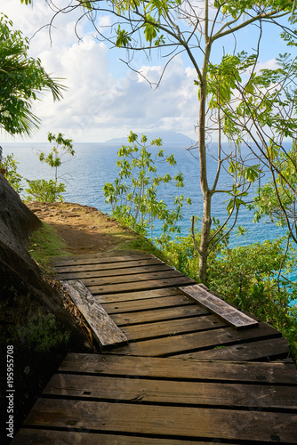 Fototapeta Naklejka Na Ścianę i Meble -  Anse major trail, hiking on nature trail of Mahe, Seychelles