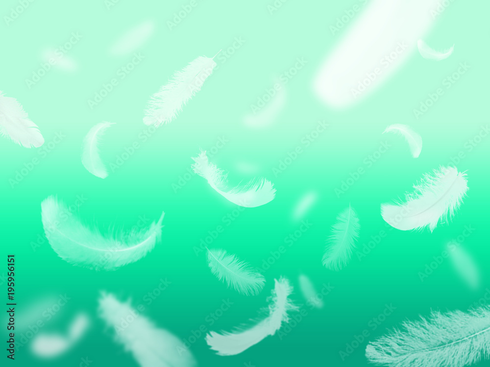 feathers on a green background two feathers on a green background two
