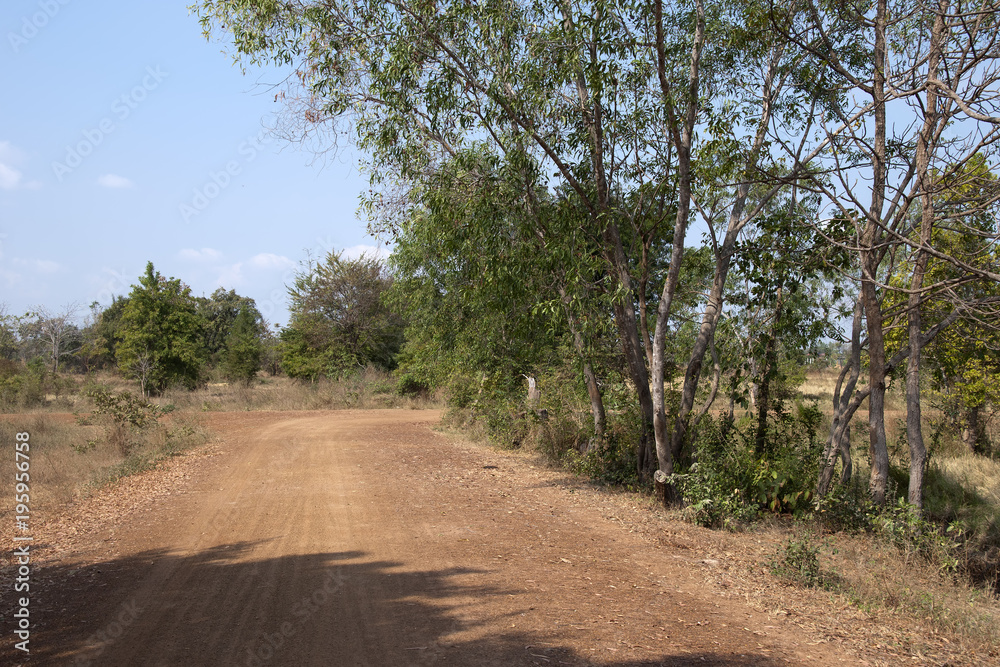 Banteay Chhmar Cambodia, rural scene dirt road near village