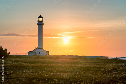 Point Arena Lighthouse at sunset in Mendocino County  Northern California Coast. 
