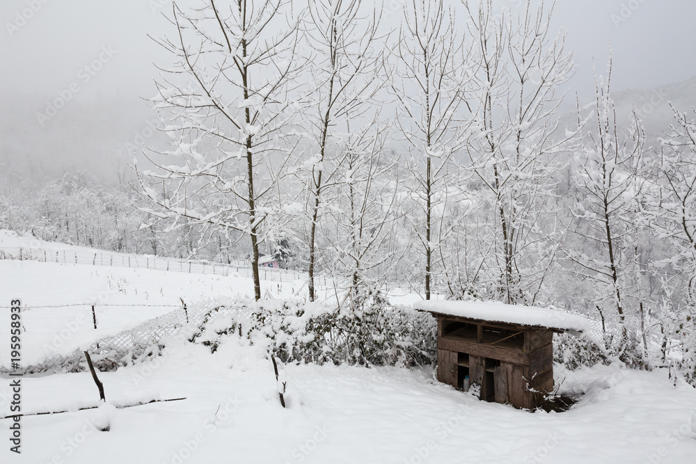 Naklejka premium Winter in Talesh, Gilan, Iran