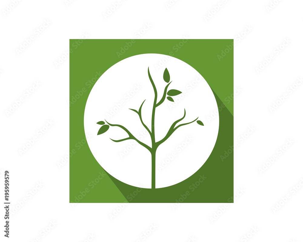 green rectangle dead tree leafless plant fall image vector icon green rectangle dead tree leafless plant fall image vector icon