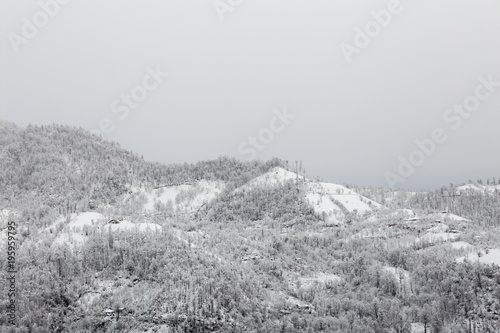 Winter in Talesh  Gilan  Iran