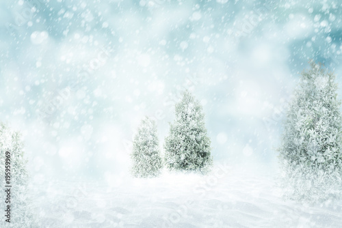 Winter snow background