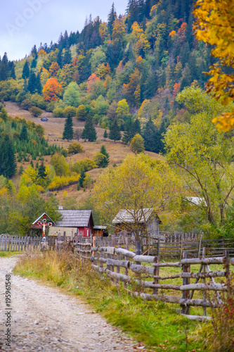 Autumn scenery landscape with colorful forest, wood fence and rural road in Prisaca Dornei, Suceava County, Bucovina, Romania