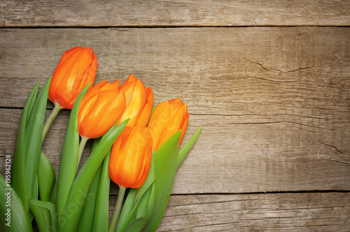 Fototapeta Naklejka Na Ścianę i Meble -  Orange tulips on wooden background.