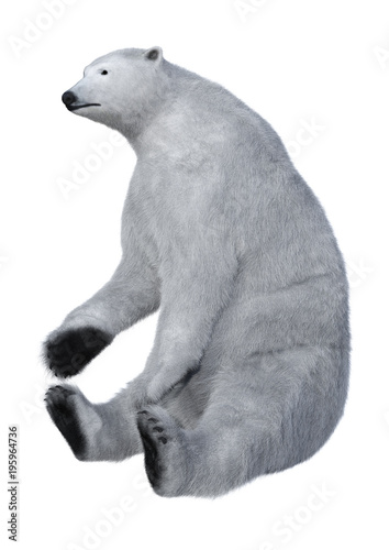 3D Rendering Polar Bear on White