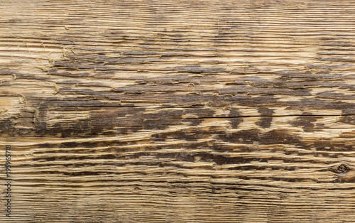 closeup background of Yellow wood texture