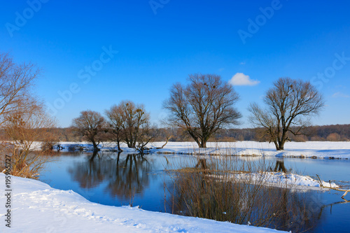 Snow-covered river bank on a sunny winter evening. Winter landscape