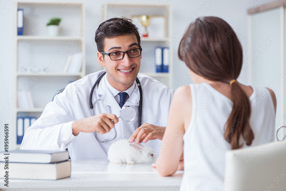 Woman with pet rabbit visiting vet doctor