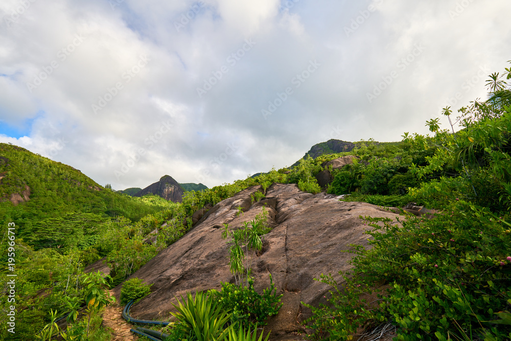 Fototapeta premium Anse major trail, hiking on nature trail of Mahe, Seychelles