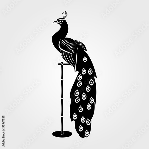 Peacock icon isolated on white background.