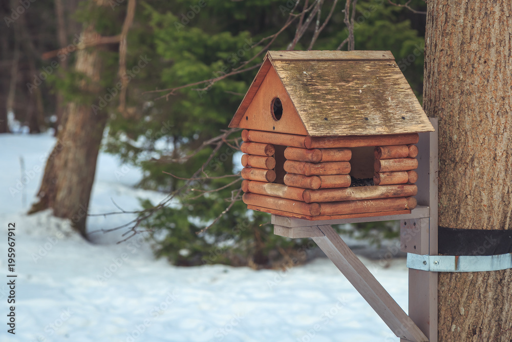 Nesting box in winter in the woods Nesting box in winter in the woods
