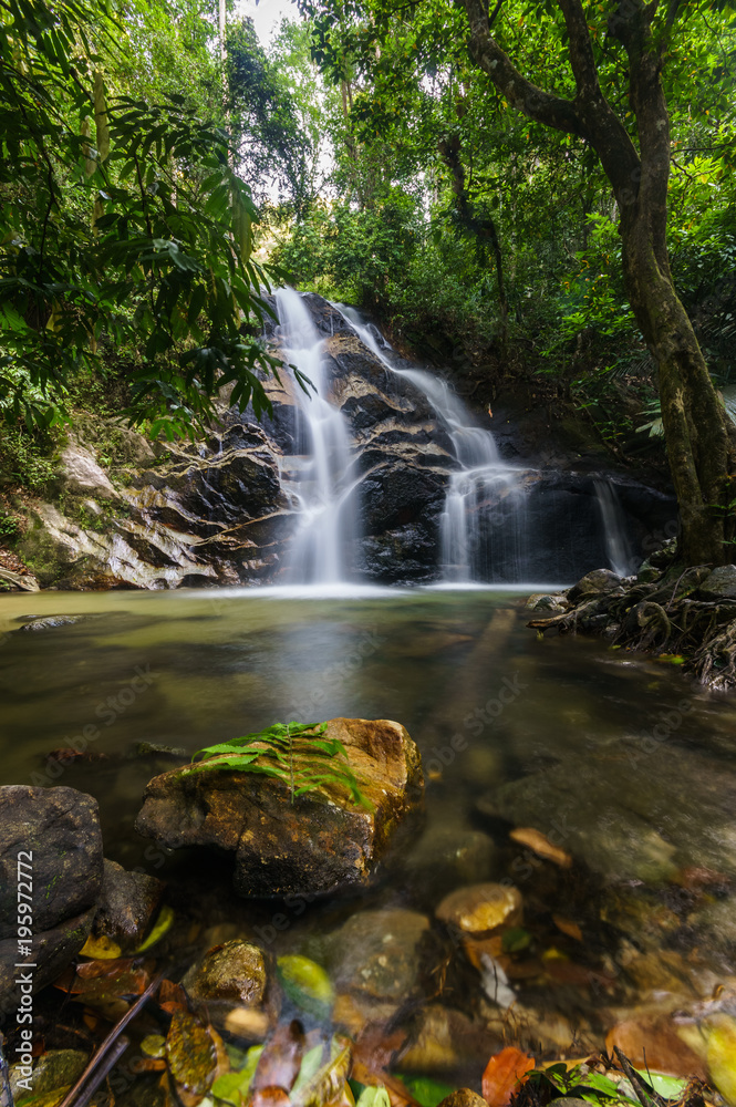 scenery of tropical forest waterfall