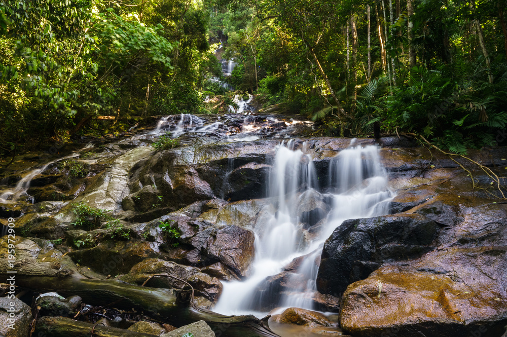 scenery of tropical forest waterfall scenery of tropical forest waterfall