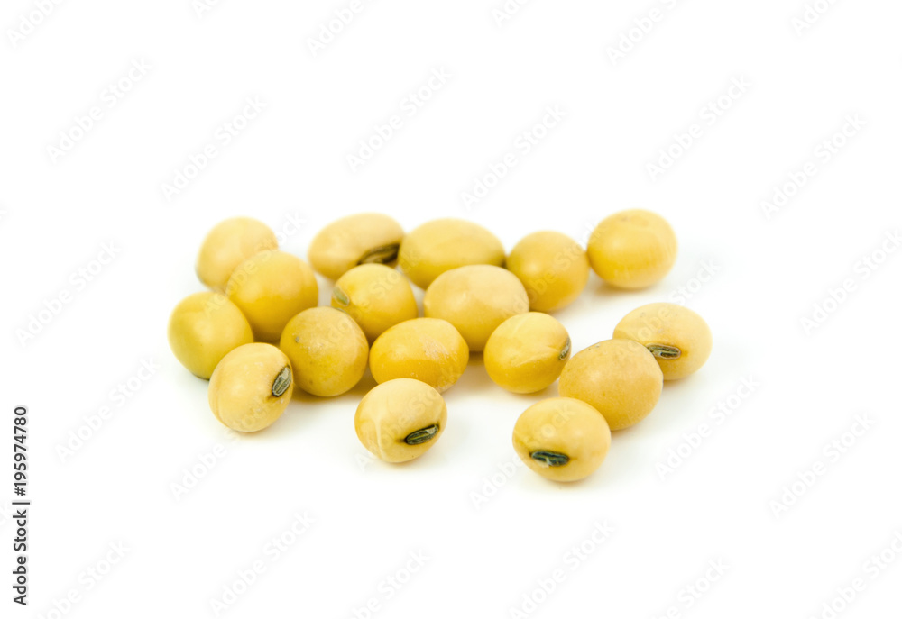 soybean isolate on white background soybean isolate on white background