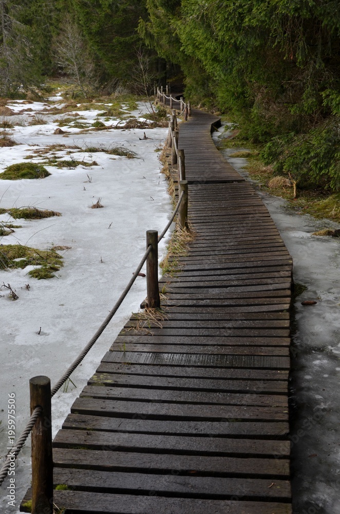 Obraz premium Passerelle sur le Lac de Servières, Auvergne, France