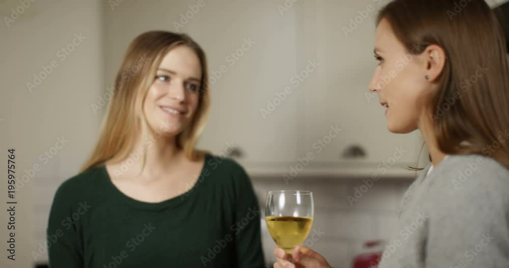 4K Happy attractive young women drinking wine & chatting at social gathering 4K Happy attractive young women drinking wine & chatting at social gathering