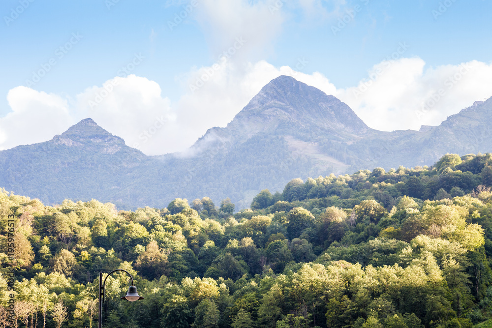 Photo of mountainous landscape with green trees