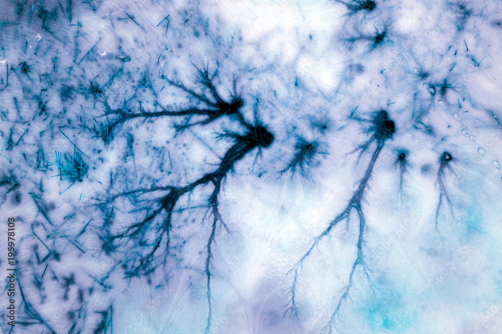 Abstract natural icy background. Frozen lake. Patterns on the surface