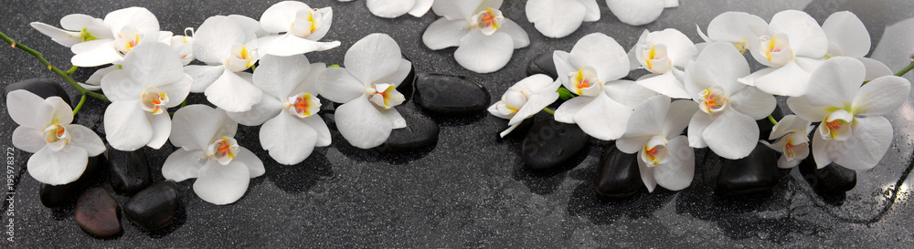 Fototapeta Białe kwiaty orchidei i kamienie spa.