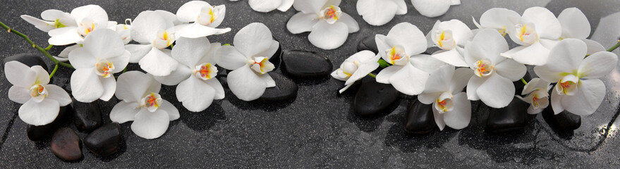 Plexiglas schilderij Spa Witte orchideebloemen met spa stenen  © Swetlana Wall