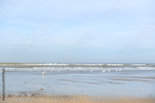 Dutch beach at North sea © Ivonne Wierink