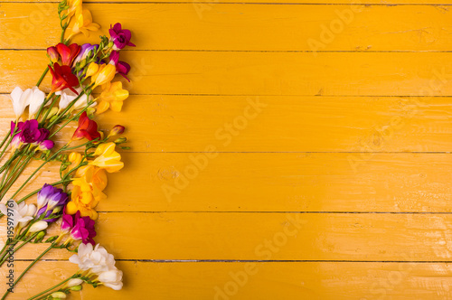 Bouquet of freesia flowers on a wooden background