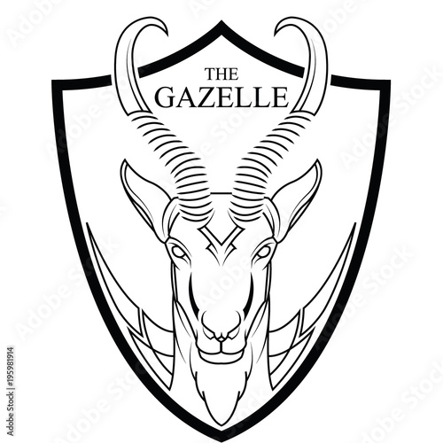Animal of Africa gazelle head vector