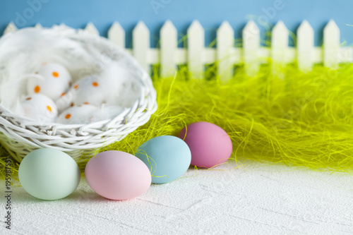 Easter eggs, white basket, feathers, green grass and white fence on blue background