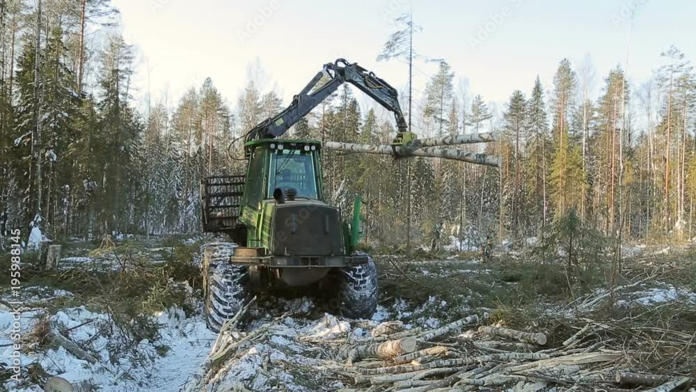 work skidder logging in winter