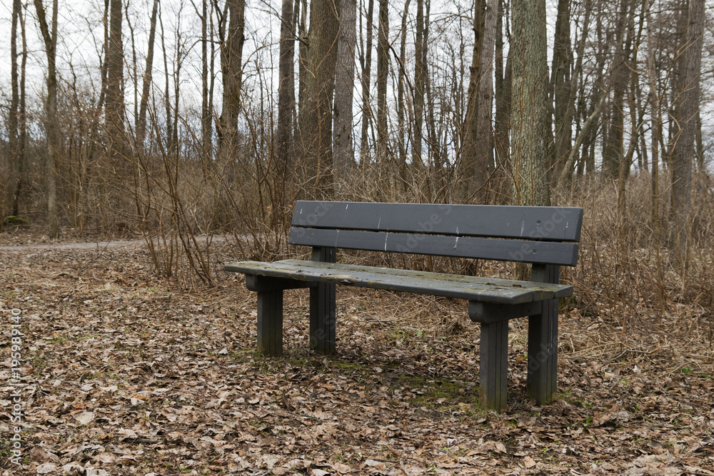 Abandoned old bench in park with bare trees.