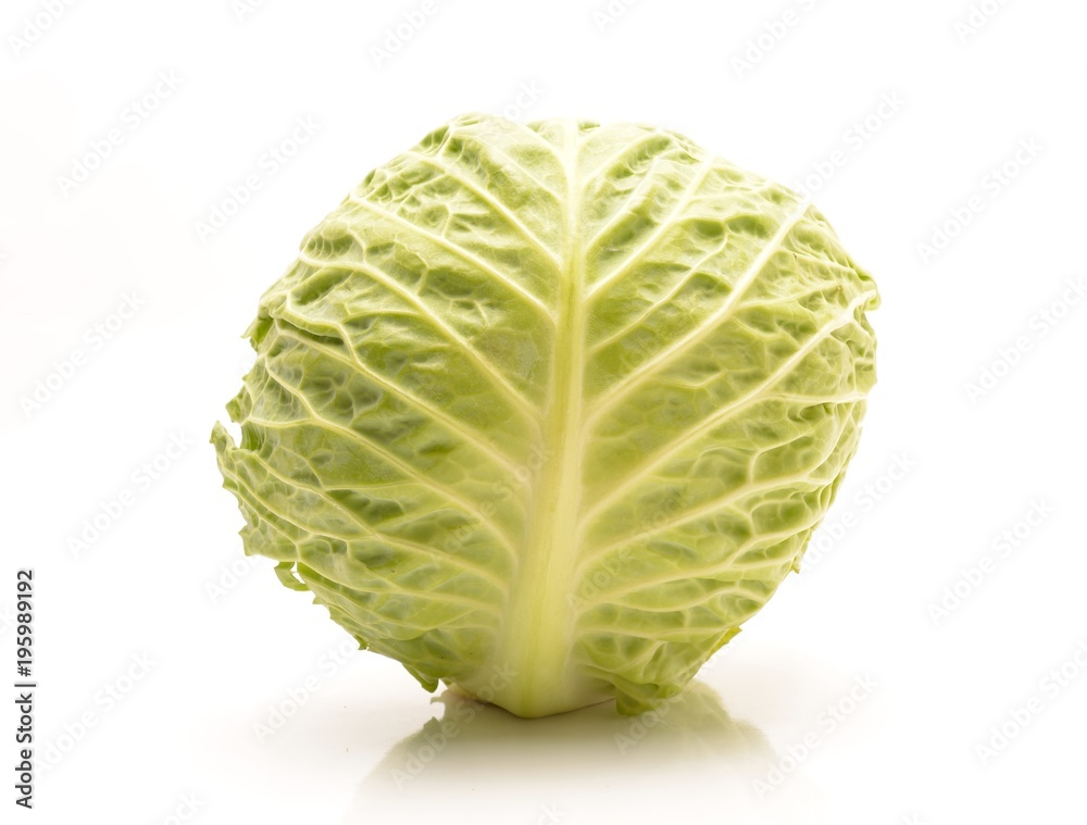 Fototapeta premium Cabbage isolated on white background