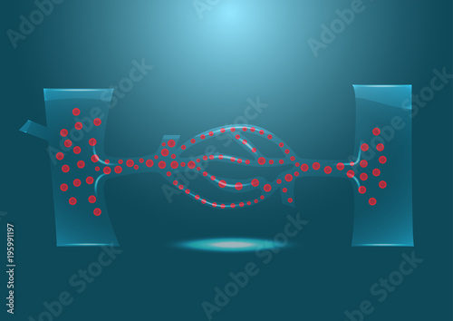 Red blood cell in transparent tube. Science for education.