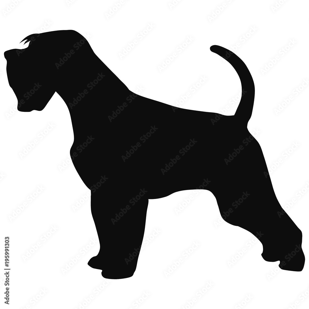 terrier black silhouette. Illustration of dog