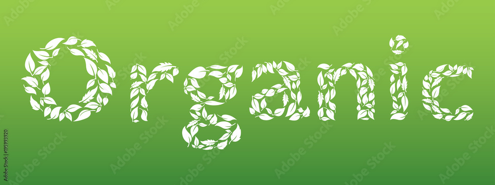 Fototapeta premium Organic text made from leaves. Ecology nature design. Environmental concept.