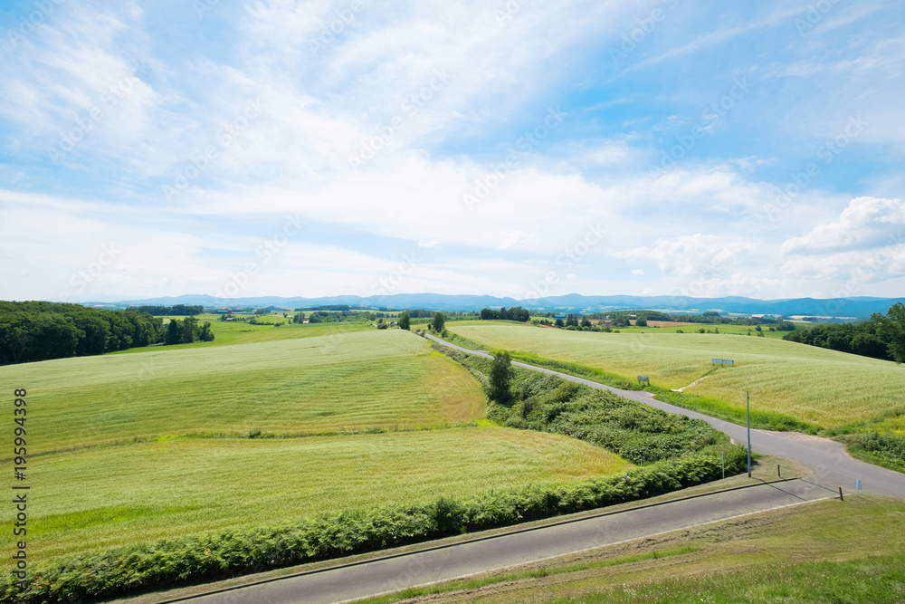 landscape of asahikawa town