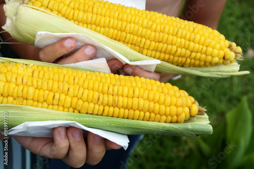 People hold boiled corn in their hands