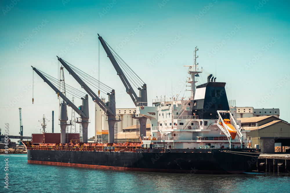 Bulk carrier cargo ship