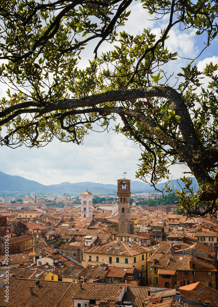 View of Torre Delle Ore from top of Guinigi Tower through tree branches, Lucca, Tuscany, Italy. Scenic city panoramic overview picturesque travel vertical postcard.