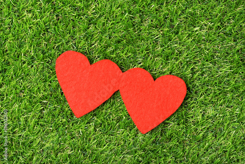 Two red hearts on the green grass