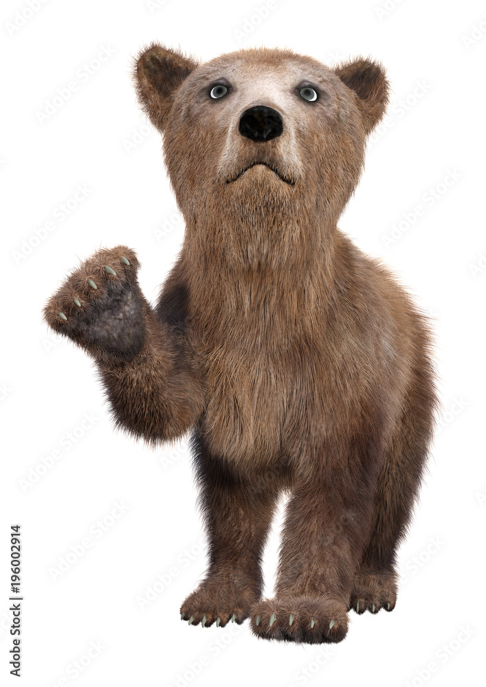 Fototapeta premium 3D Rendering Brown Bear Cub on White