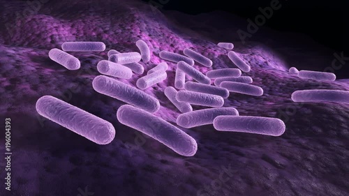 Bacteria laying on a surface, microscopic 3d rendered animation