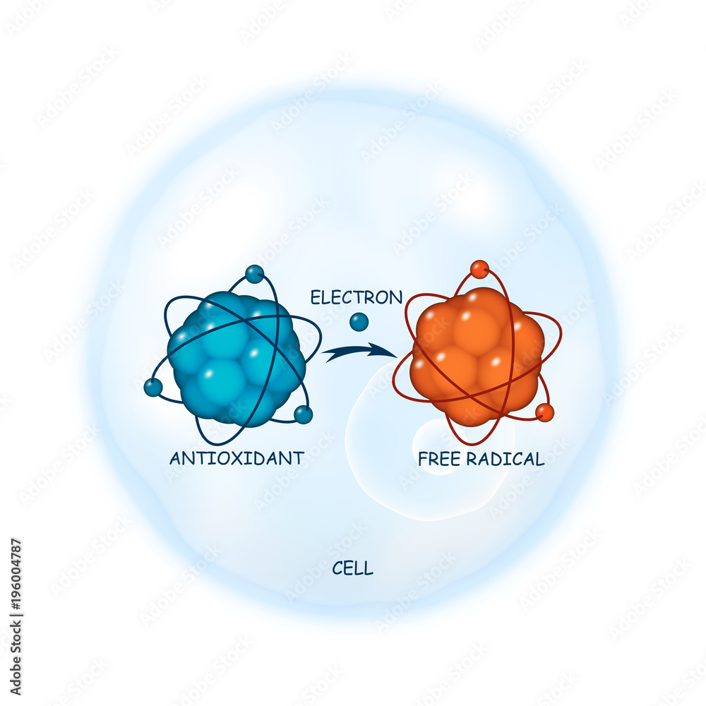 Antioxidant working principle abstract vector representation