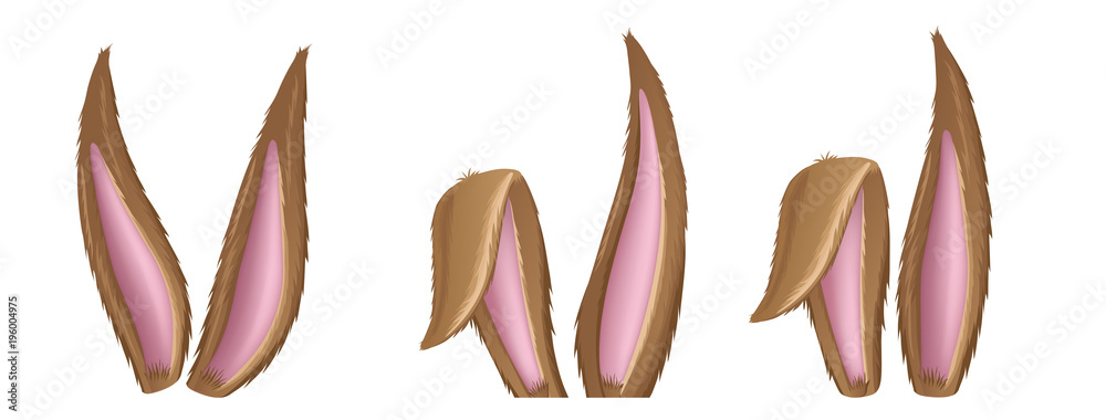 Obraz premium Kolekcja brązowych puszystych uszu królika, na Wielkanoc i wzór zwierzęcy. Ilustracja wektorowa na białym tle