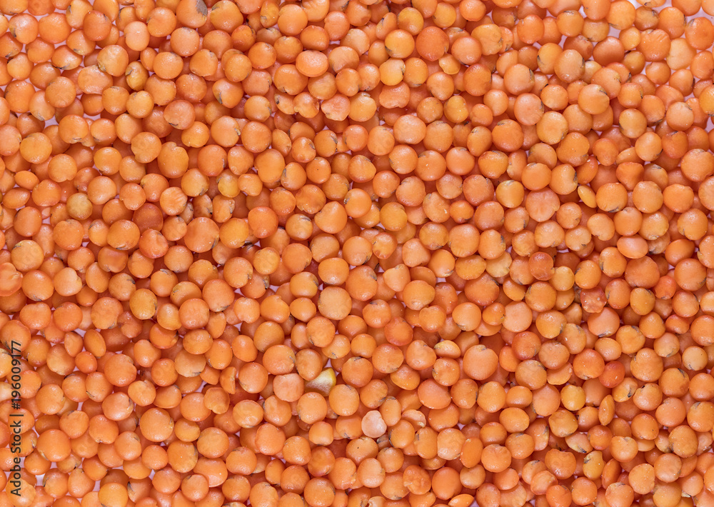 Fototapeta premium lentils, lentil seeds