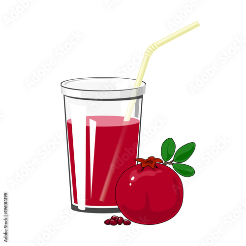 Glass with Fresh Fruit Juice with Pomegranate and a Straw Isolated on a White Background , Summer Time, Vector Illustration