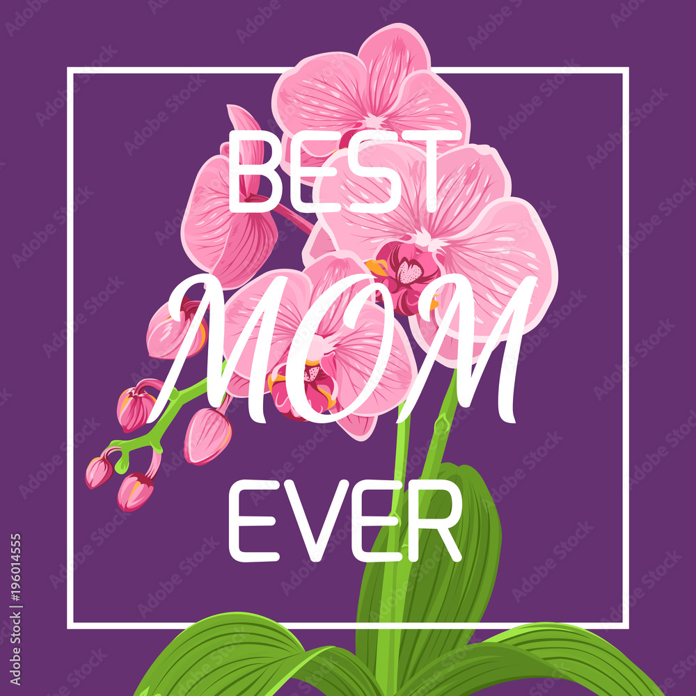 Mothers day floral spring greeting card template. Exotic pink purple orchid phalaenopsis flower plant in square rectangular border frame on violet background. Best mom ever headline text placeholder.