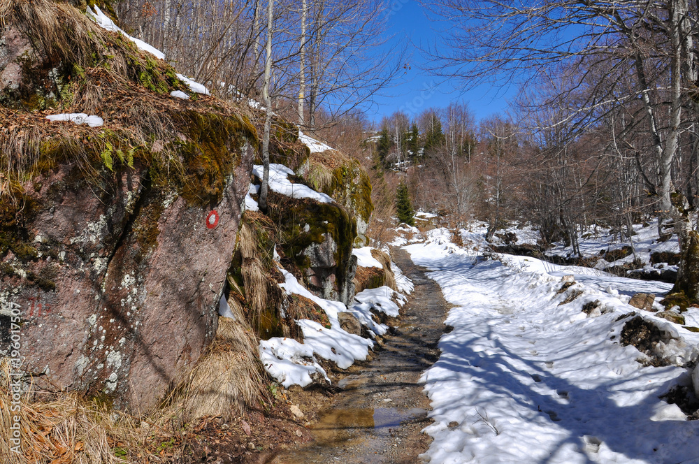 Mountain landscape. Small Rural road covered with snow Mountain landscape. Small Rural road covered with snow